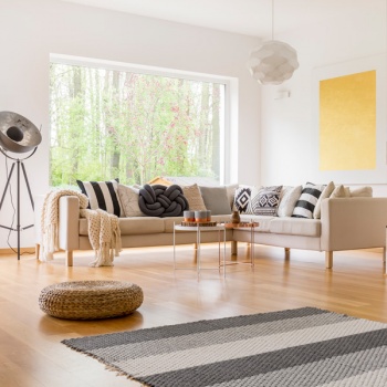 Noticia Relacionada con el Producto o Servicio 4